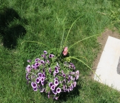 2021 05 22 SiousFalls 010